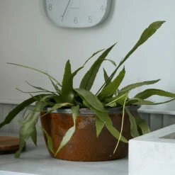 House Doctor Whai Blumentopf Ø37cm -House Doctor 500204 01 3 EnvironmentImage 4ce9877706