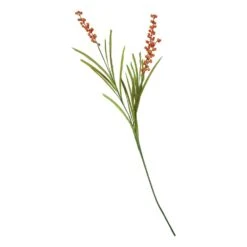 House Doctor Blume, Buckthorn