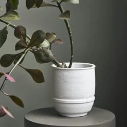 House Doctor Ground Topf Weiß, Ø14 Cm H16 Cm 12 House Doctor Ground Topf Weiß, Ø14 Cm H16 Cm -House Doctor house doctor plantation box ground kit 1 1